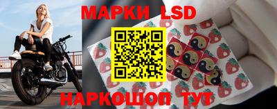 Альфа ПВП Донской